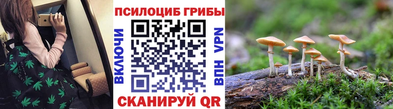 Псилоцибиновые грибы Cubensis  Дудинка 